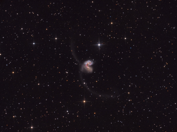 Die Antennengalaxien
Nachdem der Winter sehr schlecht war, konnten wir nun am 6. April 2018 endlich wieder am Weerberg fotografieren. Genau zu dieser Zeit stehen die Antennengalaxien (NGC4038/NGC4039) auch bei uns in einer annehmbaren Höhe. Diese sind zwar nur ca. 23° beim Meridiandurchgang aber einen Versuch war es wert. Es gingen sich in der kurzen Zeit 90 Minuten aus (je 4x5min Luminanz und Blau und je 5x5Minuten Rot und Grün). Newton 30cmf4 mit parracor f4,6 (1380mm), Moravian 8300 
