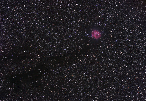 IC 5146, Cocon-Nebel
Am Ende einer Dunkelwolke, welche bereits im Feldstecher sichtbar ist, liegt der visuell sehr schwer zu beobachtende Coconnebel.
Schlüsselwörter: IC 5146, Cocon-Nebel