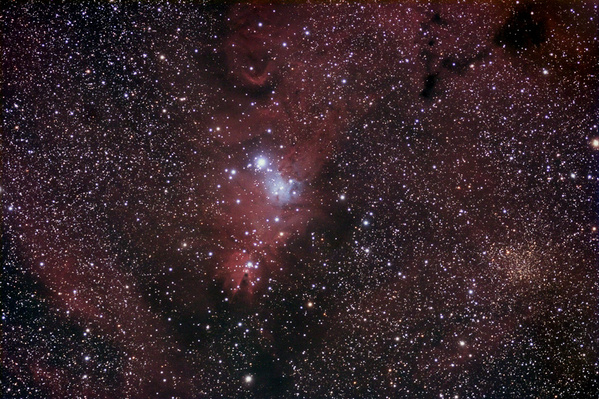 NGC2264, Konus-Nebel
Der Konus-Nebel ist visuell nur sehr schwer zu sehen, der Weihnachtsbaumhaufen kommt jedoch  sehr schön zur Geltung. Fotografisch besteht die Gegend aus einem überraschend strukturiertem Nebelgebiet, das ich so nicht erwartet hätte. Besonders interessant ist der rechts gelegene offene Sternhaufen Trumpler 5 durch seine deutlich gelbe Färbung.
Schlüsselwörter: NGC2264, Konus-Nebel