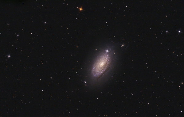 M63, Sonnenblumen-Galaxie
Selten soviel an einer Galaxie herumgearbeitet. In der nächsten Nacht stockte ich auf insgesamt 54 Aufnahmen auf, aber 20 konnte ich wegen des zu hellen Hintergrundes wegwerfen. Dunkler Himmel ist halt durch nichts zu ersetzen
Schlüsselwörter: M63, Sonnenblumen-Galaxie