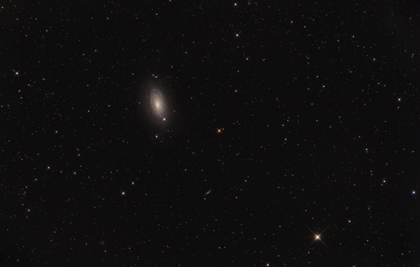 M63, Sonnenblumen-Galaxie
Nach Abzug der Regenfront letzten Samstag, die auch den Saharastaub aus der Luft gewaschen hat, klarte es auf. Also hab ich nochmal M63 probiert. Die Galaxie zeigt sich mit viel Struktur, ein sehr schönes Objekt zum Fotografieren
Schlüsselwörter: M63, Sonnenblumen-Galaxie