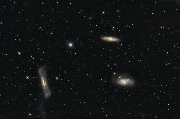 M65, M66, NGC3628
Dieses wohl bekannteste Galaxientriplett liegt im Löwen. Auf länger belichteten Aufnahmen zeigt sich ein ser schwacher Materieschweif, welcher von NGC3628 (links) weggeht. Leider glaubte ich, der Schweif geht von der anderen Ecke von der Galaxie weg und habe den Ausschnitt falsch gewählt. Die Aufnahme wurde über 2 Nächte insgesamt 4h20min belichtet, bisjetzt meine längste Belichtung. Für die Galaxienkerne wurden nur die 16 schärfsten Aufnahmen verwendet.
Schlüsselwörter: M65, M66, NGC3628