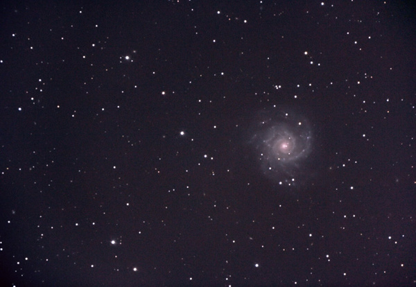 M74
Diese schöne Spiralgalaxie liegt im Sternbild Fische  
Schlüsselwörter: M74
