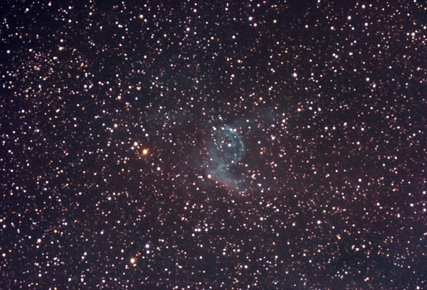 NGC2359, Thors Helm
Dieser interessante Nebel liegt im Sternbild Einhorn. Die blaue Gasblase im Inneren wird durch einen Wolf-Rayet-Stern (eine besonders heiße Klasse von Sternen, welche überwiegend im Ultravioletten strahlen) zum Leuchten angeregt. In einem großen Teleskop mit OIII-Filter gehört dieser Nebel zu meinen Lieblingsobjekten. Wegen der Rotschwäche einer unmodifizierten DSLR ist von den äußeren Bereichen leider nicht viel oben.
Schlüsselwörter: NGC2359, Thors Helm