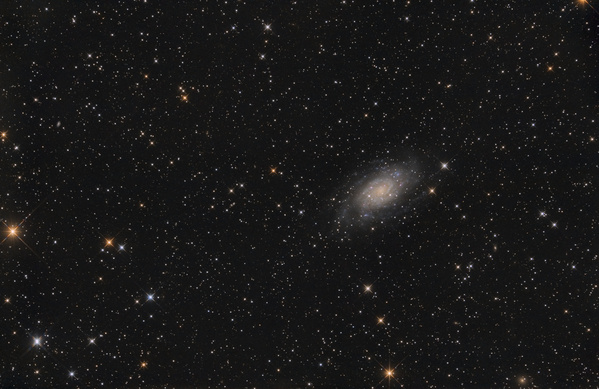 NGC 2403 
Diese Neumondperiode schlägt alle Rekorde. Am Samstag wars nach der Nikolofeier zu spät, um auf den Weerberg zu fahren, also blieb ich im Garten. NGC 2403 ist eine recht helle Galaxie im Sternbild Giraffe mit einigen netten Halpha-Gebieten. Bedingungen waren sehr gut. Eine größere Version.
Schlüsselwörter: NGC 2403
