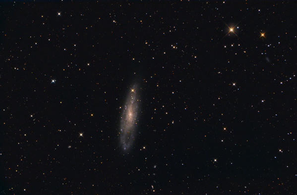 NGC247
Als Abschluss der angekündigten mehrtägigen Schönwetterperiode war eigentlich ein zünftiger Beobachtungasbend geplant, aber natürlich sind heut Zirren, also hab ich halt Foto bearbeitet. NGC 247 liegt ziemlich südlich im Walfisch und steht im Schatten der bekannteren Nachbargalaxie NGC253. Wieder mal ein Objekt über 2 Nächte, da die Galaxie leider ab 23:30 wieder ziemlich tief steht. Die Durchsicht war zwar nur durchschnittlich, aber dafür die Luft recht ruhig.
Schlüsselwörter: NGC247