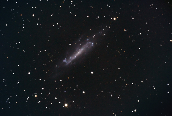 NGC4236
Diese sehr lichtschwache Galaxie liegt zwischen den Sternbildern Drache und Großer Wagen und ist wegen der großen Ausdehnung ein eher schwieriges Objekt visuell. Leider war bei der Aufnahme der Korrektor etwas verkippt.
Schlüsselwörter: NGC4236