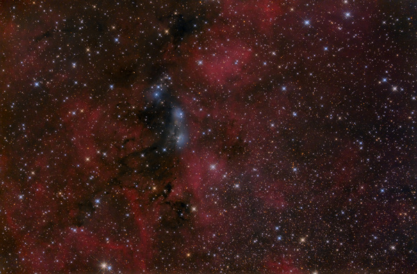 NGC6914
Nach einer ziemlich langen Kreativpause (keinen Auftrieb zum Fotografieren - ich werd langsam alt) war die Nacht am vergangenen Donnerstag doch zu schön, um die Gelegenheit auszulassen. NGC6914 ist ein REflexionsnebel im Sternbild Schwan, der durch seine blaue Farbe sich wunderbar von den dort vorherrschenden roten Wasserstoffwolken abhebt.
Schlüsselwörter: NGC6914