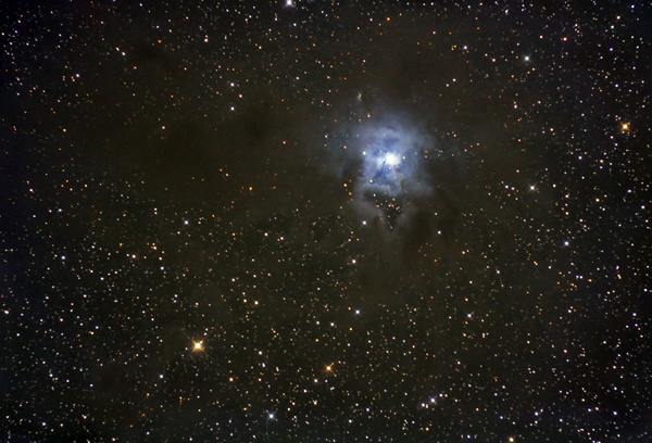 NGC7023, Iris-Nebel
Der Iris-Nebelliegt inmitten eines ausgedehnten Dunkelnebelfeldes. Aufgrund diverser Unwägbarkeiten (unter anderem 2 überraschend in Ellbögen aufgestellten Straßenlaternen) gingen sich leider nur 11x5min aus, dementsprechend ist das Rauschen etwas stark. Außerdem ist die Aufnahme wieder mal nicht ganz scharf.
Schlüsselwörter: NGC7023, Iris-Nebel