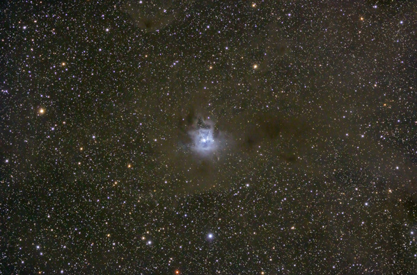 NGC7023, Iris-Nebel
Endlich mal ernsthafte Bedingungen: Ein ganzes Wochenende unter traumhaften Bedingungen auf der Villanderer Alm auf 2050m. Trotz nur 10x10min kommen die Staubwolken rund um den Iris rüber.
Schlüsselwörter: NGC7023, Iris-Nebel