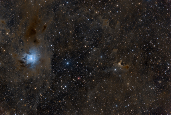NGC7023, VDB141
NGC7023 ist ein REflexionsnebel im Kepheus, der in ein großes Nebelgebiet eingebettet ist. Gleich in der Nähe befinden sich die Geisternebel. Am heurigen ITT konnte ich endlich mal diese Gegend bei hervorragenden Bedingungen ablichten.
Schlüsselwörter: NGC7023, VDB141