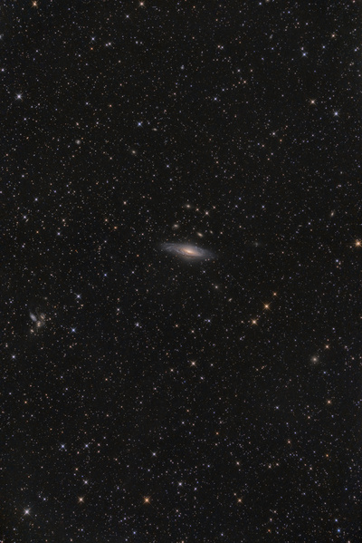 NGC7331, Stephans Quintett
Ein eher überraschendes Wolkenloch brachte mich am Freitag ziemlich in Stress: Um 22h hats noch auf die Pergola getröpfelt, um 23:30 beim Heimgehen vom Nachbarschaftsplausch war keine Wolke am Himmel. Trotz ungünstiger Wolkananimation schmiss ich schnell den 10" auf die Montierung und konnte so bei sehr guter Durchsicht 3h20 Daten sammeln. NGC7331 ist eine recht helle Galaxie, bekannter ist allerdings das Stephan's Quintett, eine Ansammlung von 5 Galaxien am oberen Bildrand. Eine größere 'Version
Schlüsselwörter: NGC7331, Stephans Quintett