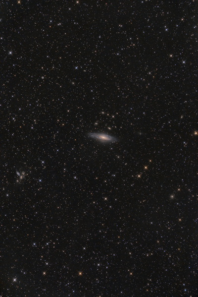 NGC7331, Stephans Quintett
Ein eher überraschendes Wolkenloch brachte mich am Freitag ziemlich in Stress: Um 22h hats noch auf die Pergola getröpfelt, um 23:30 beim Heimgehen vom Nachbarschaftsplausch war keine Wolke am Himmel. Trotz ungünstiger Wolkananimation schmiss ich schnell den 10" auf die Montierung und konnte so bei sehr guter Durchsicht 3h20 Daten sammeln. NGC7331 ist eine recht helle Galaxie, bekannter ist allerdings das Stephan's Quintett, eine Ansammlung von 5 Galaxien am oberen Bildrand.
Schlüsselwörter: NGC7331, Stephans Quintett