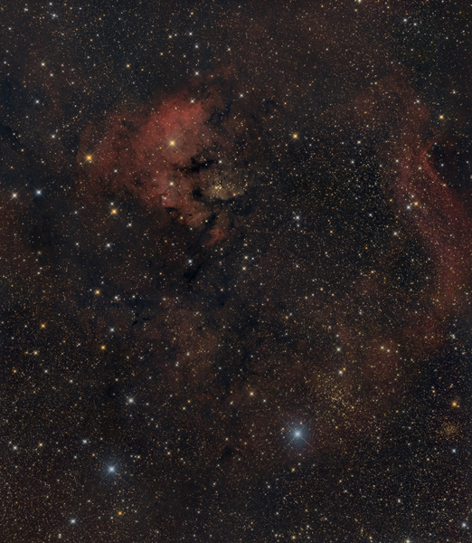 NGC7822
Nach einer durchwachsenen Saison besann sich das Wetter im November darauf, dass es auch schön sein kann. Da wir leider wieder mal im Teillockdown sind, konnte ich nur im Garten fotografieren. Die Nebelregion NGC7822 ist eigentlich zu groß für das Gesichtsfeld meines Newtons, daher entschloss ich mich kurzerhand, ein Mosaik zu versuchen. Jeweils 4,5h pro Paneel kamen über 3 Nächte zusammen
Schlüsselwörter: NGC7822