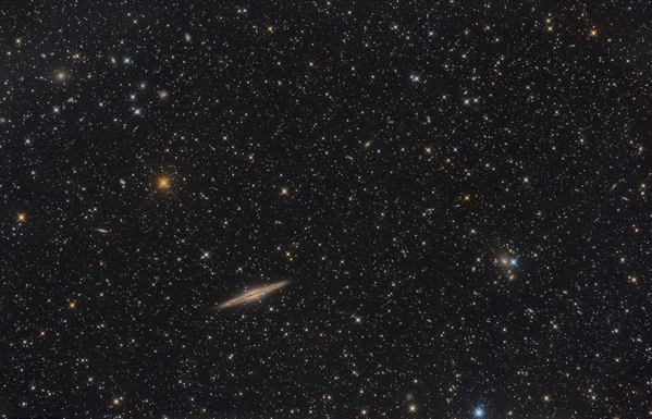 NGC891
Während der 8 Tage Schönwetter hab ich immerhin an 6 Abenden fotografiert. Der 2. Dreierpack wurde für NGC 891 verwendet. Die Galaxie ist genau von der Kante zu sehen und liegt in einem reichen Galaxienfeld. Irgendwie faszinierend: sämtliche sichtbaren Sterne sind von unserer Milchstraße und alle nebligen Fleckchen weit entfernte Milchstraßensysteme.
Schlüsselwörter: NGC891