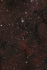IC1396fert.jpg