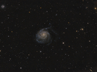 M101fert.jpg