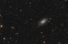 NGC2403fert.jpg