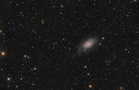 NGC2403fertkl.jpg