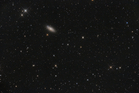 NGC2841fert2_gr.jpg