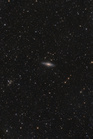NGC7331gr.jpg