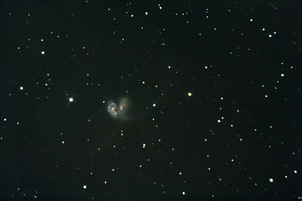 Antennen-Galaxie (NGC 4038, NGC4039)
Die Antennen-Galaxien kommen in Tirol nicht gerade sehr hoch über den Horizont, weshalb auch wirklich scharfe Bilder des Himmelsobjektes - von Mitteleuropa aus fotografiert - eher eine Seltenheit sind. Wie man sehen kann, hatte ich bei meinem ersten Fotografierversuch für Tiroler Verhältnisse großes Glück mit dem Seeing.
