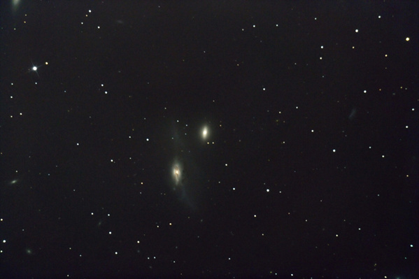 Die Augen, die Galaxien NGC4435 und NGC4438 vom 15.04.2007
Der Name "die Augen" kommt aus der visuellen Beobachtung. Im Fernrohr sind beide Galaxien in etwa gleich hell und haben eine ellyptische Form. Zwei Augen eben. Man beachte die Gravitationskräfte die auf die in dieser Aufnahme tiefer liegende NGC4438 wirken. Nicht nur eine enorme Anzahl von Sternen wird aus der Galaxie gerissen sondern auch die dunklen Staubwolken werden schier zerfetzt.
