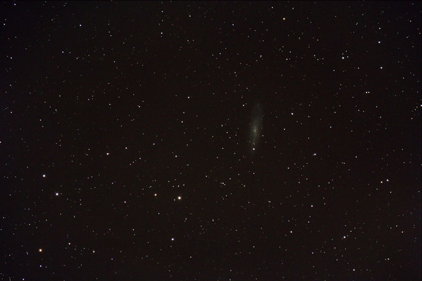 Die Galaxie NGC247.
