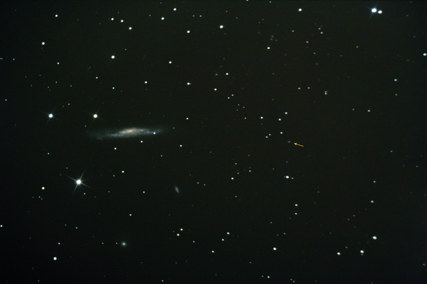 NGC3079 am 08.04.2007.
Auf dieser Aufnahme ist nicht nur die schöne Galaxie NGC3079 von der Seite zu sehen, sondern auch ein weit, weit, weit, ... entfernter Quasar. Der Pfeil zeigt auf den 9Milliarden Lichtjahre entfernten Doppelquasar 0957+561A/B. 
