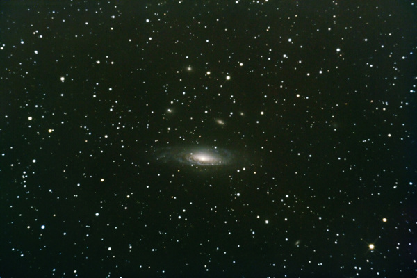Galaxie NGC7331 am 05.11.2007.
Visuell auch im 16" Newton eine relativ kleine Galaxie, da nur das helle Zentrum gut gesehen werden kann. Die wahre Ausdehnung der Sterneninsel wird erst auf länger belichteten Aufnahmen erkennbar. Auch eine Vielzahl kleiner Galaxien kommen nun zum Vorschein.
