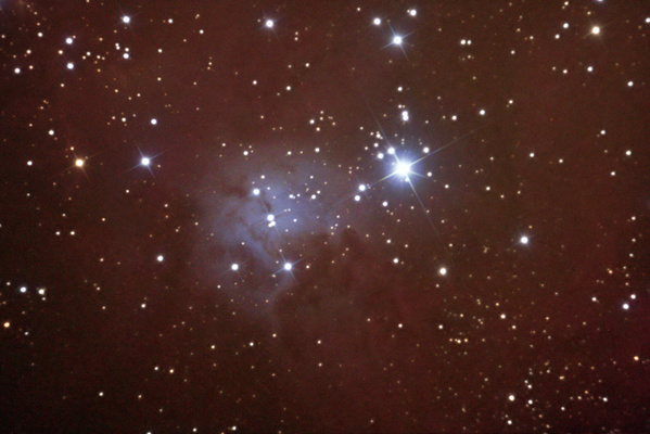 Fox Fur Nebel (NGC2264) vom 23.12.2006
Ist dieser Reflexionsnebel im Sternbild Einhorn noch relativ leicht abzubilden, so hat die unmodifizierte Canon mit dem umgebenden Emmissionsnebel schon recht große Probleme. Dennoch kann einiges an Nebel abgelichtet werden.
