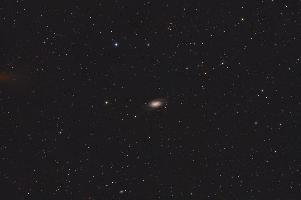 NGC 2903 - mit CFF140/910mm und ST11000