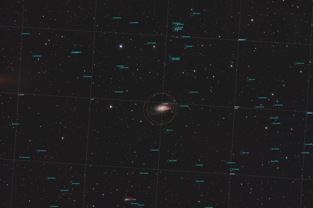 NGC 2903 mit eingeblendeten Galaxien aus dem PGC Katalog