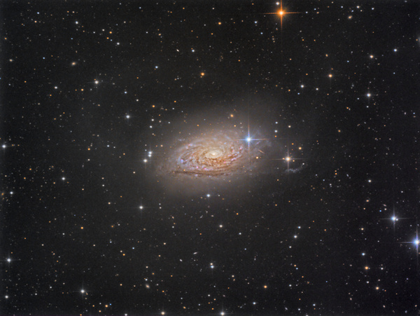 M63
ca. 30 Millionen Lj entfernte Galaxie in den Jagdhunden, 
der Sternenstrom rechts vom Kern dürfte eine Zwerggalaxie sein, die sich die Große einverleibt hat. Ansatzweise ist ein Sternenhalo um die Galaxie sichtbar. 
Etwas bunte Version für Desktop Hintergrund
Leider stimmt noch etwas mit dem Teleskop nicht - Justage oder Verwirrung?
Schlüsselwörter: M63, Sonnenblumen Galaxie, Sunflower