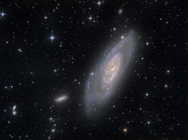 M106
Aufgenommen an zwei Abenden im April 2015. Unglaublich die Tiefe in dem Bild mit 5h50 Gesamtbelichtungszeit (Ha-LRGB). St8300m mit Baader Filter. Bearbeitung in Pixinsight und PS
Leider war der Fanspiegel zu wenig angezogen und die Justage hat sich während der Belichtung geringfügig verstellt (unschöne Sterne).
Schlüsselwörter: M106, Newton, Paracorr, st8300m