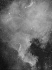 Dateiname=ngc7000_180_klein.jpg
Dateigröße=378KB
Abmessungen: 1280x1695
hinzugefügt am: 26. Dezember 2013 ngc7000_180_klein.jpg