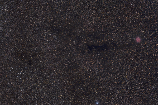 IC5146, Cocon-Nebel
Eine größere Version
