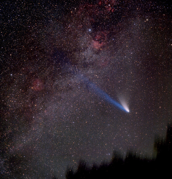 Hale-Bopp, Komet
Im Februar bot der Komet für Frühaufsteher ein atemberaubendes Schauspiel, als er mit der Sommermilchstraße zwischen Nordamerikanebel und IC 1396 stehend aufging. So habe ich diesen Kometen auch immer in Erinnerung: ein riesiges Victory-Zeichen am Himmel, welches mit der Sommermilchstraße gerade hinter den Bäumen aufgeht. 
Schlüsselwörter: Hale-Bopp, Komet