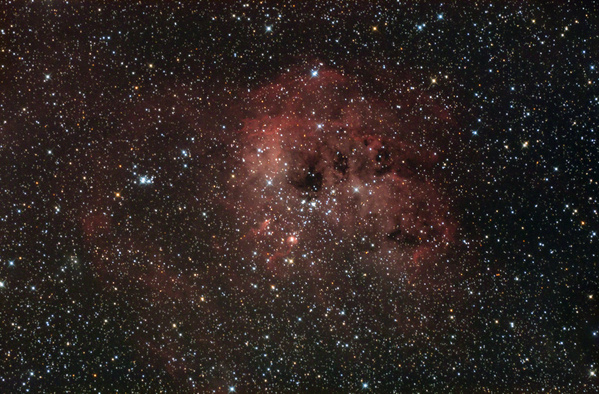 IC410
Endlich wieder mal schön. Da Astrostammtisch war, stellte ich vorher das Fernrohr in den Garten, programmierte den Autoguider und fuhr dann auf den Stammtisch. Vieeel besser als 3 Stunden bei -10C im Garten friern. IC410 ist ein recht interessanter Gasnebel im Fuhrmann. Unterhalb der Bildmitte kan man die "tadpoles", 2 kaulquappenähnliche Strukturen sehen.
Schlüsselwörter: IC410