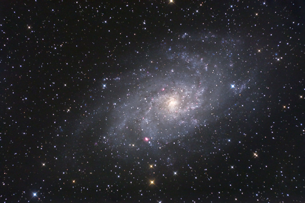 M33
Selten soviel gearbeitet für Astrofotos wie heuer. Auch für diese M33 brauchte es 2 Anläufe, beim ersten Versuch nebelte es mich nach 3 Aufnahmen ein, beim 2.Mal war der Fokus nicht optimal und der Autoguider schlampte etwas. Dafür war es eine sehr schöne Nacht, wo M33 sogar ansatzweise mit bloßem Auge zu sehen war
Schlüsselwörter: M33
