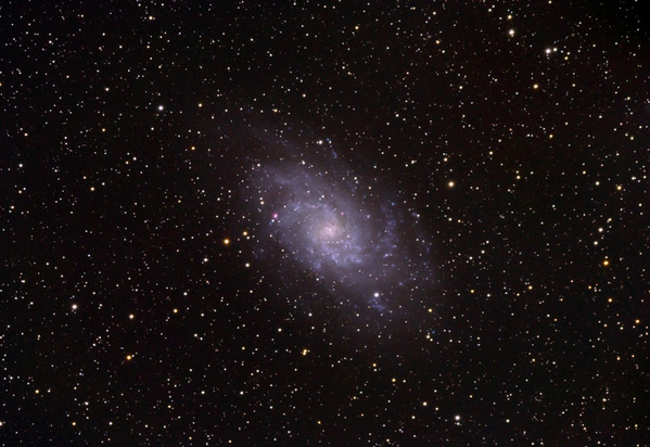 M33 (NGC598), Dreiecks-Galaxie
M33 ist ebenfalls ein Mitglied der Lokalen Gruppe und kann bei sehr guten Bedingungen schwach mit freiem Auge gesehen werden. Im Teleskop lassen sich in den Spiralarmen auch einzelne Gasnebel erkennen, auf der unmodifizierten DSLR nur, wenn man mit der Farbe etwas nachhilft
Schlüsselwörter: M33 (NGC598), Dreiecks-Galaxie