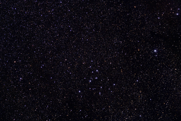 M39
Ein schöner Sonntagabend im Garten verleitete mich zu ein bischen Astrofotografie. M39 steht direkt in der Sommermilchstraße im Schwan und sticht nur durch einige helle Sterne aus dem Sterngewimmel hervor.
Schlüsselwörter: M39, offener Sternhaufen