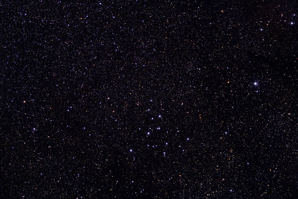 M39
Ein schöner Sonntagabend im Garten verleitete mich zu ein bischen Astrofotografie. M39 steht direkt in der Sommermilchstraße im Schwan und sticht nur durch einige helle Sterne aus dem Sterngewimmel hervor.
Schlüsselwörter: M39, offener Sternhaufen