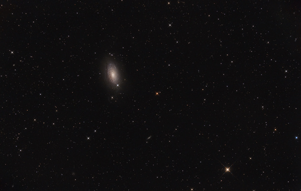 M63, Sonnenblumen-Galaxie
Nach Abzug der Regenfront letzten Samstag, die auch den Saharastaub aus der Luft gewaschen hat, klarte es auf. Also hab ich nochmal M63 probiert. Die Galaxie zeigt sich mit viel Struktur, ein sehr schönes Objekt zum Fotografieren. Eine größere Version
Schlüsselwörter: M63, Sonnenblumen-Galaxie