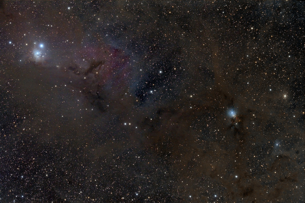 IC348, NGC1333
Nach meinem Versuch mit dem 8" vom letzten Jahr wollte ich die Gegend mit weniger Brennweite aufnehmen, da ich auch den  daneben befindlichen NGC 1333 und einen Teil der Taurus-Molekülwolke draufkriegen wollte. Am Sonntag bot sich die Gelegenheit, den 80mm Refraktor und den 18" Dobson zum Beobachten aufzustellen. Leider hat sich ein Haar auf den Sensor verirrt.
Schlüsselwörter: IC348, NGC1333