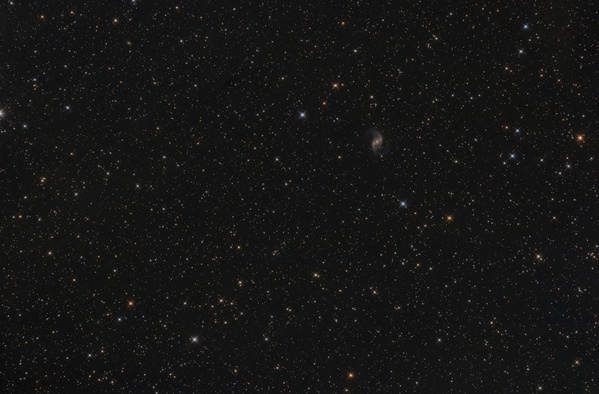 NGC1530
Auf der Suche nach einem Objekt, was ich noch nicht aus dem Garten fotografiert habe, stieß ich auf diese interessante Balkenspirale. Leider war sie doch kleiner als gedacht. Wahrscheinlich wird sie auch deswegen eher selten fotografiert.
Schlüsselwörter: NGC 1530