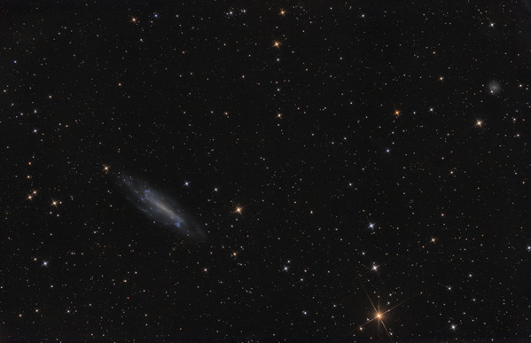 NGC4236
NGC236 ist eine große und lichtschwache Galaxie im Großen Wagen. Nach schlechtwetterbedingter 3monatiger Pause die erste Gelegenheit in diesem Jahr. Leider geht seit 6 Wochen der Föhn, sobald es schön ist, daher war die Luft sehr unruhig und ich blieb auch im Garten. Der milde Winter dürfte zu gröberen Geländeverschiebungen geführt haben, jedenfalls habe ich plötzlich eine Bildfelddrehung, die auf schlechte Einnordung zurückzuführen sein dürfte.
Schlüsselwörter: NGC4236