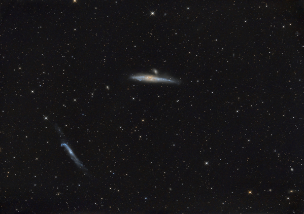 NGC4631
Ein erneuter Versuch im Februar 2022 mit dem 10". Ansatzweise sind die der Galaxie zugehörigen Streamer zu sehen
Schlüsselwörter: NGC 4631