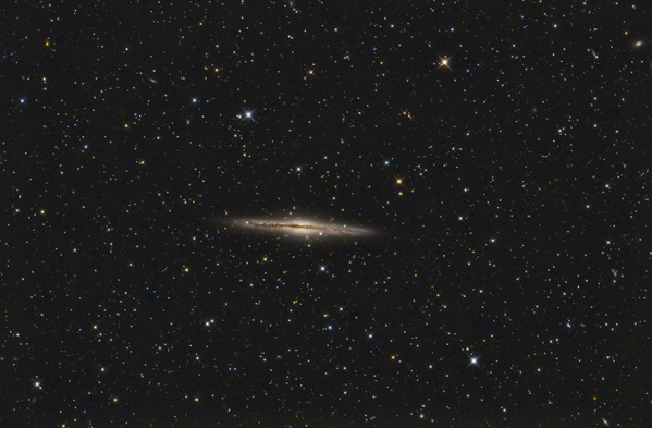 NGC891
Shit happens - nachdem ich auf den Weerberg raufgefahren bin und oben feststellte, dass der Deklinationsmotor noch daheim am Schreibtisch liegt, kehrte ich unverrichteter Dinge um und machte stattdessen NGC891 aus dem Garten. NGC891 ist eine Galaxie, die man von der Seite sieht.
Schlüsselwörter: NGC891