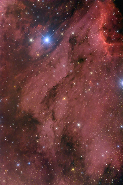 IC5070, Pelikan-Nebel
Nach längerer Babypause und Schlechtwetterabstinenz endlich mal wieder Astrofotos. Eine Kaltfront bescherte das Ende der abartigen Hitze und 2 Nächte mit herausragenden Bedingungen. Der Pelikan sieht eigentlich eher wie ein schwangerer Pinguin mit zu langem Schnabel aus. Dank der herausragenden Bedingungen ist recht viel oben.
Schlüsselwörter: IC5070, Pelikan-Nebel